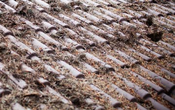 Tregullon roof cleaning companies